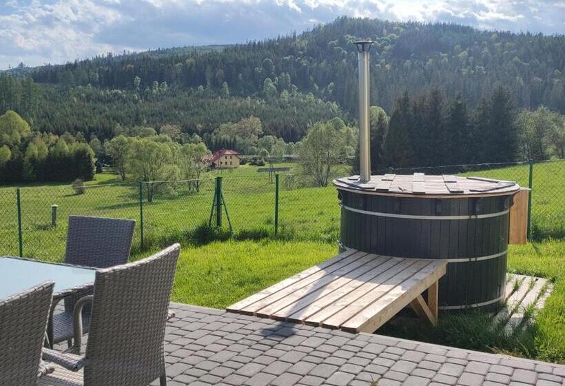 Дом 4 Спальни, Villove Domy Spa