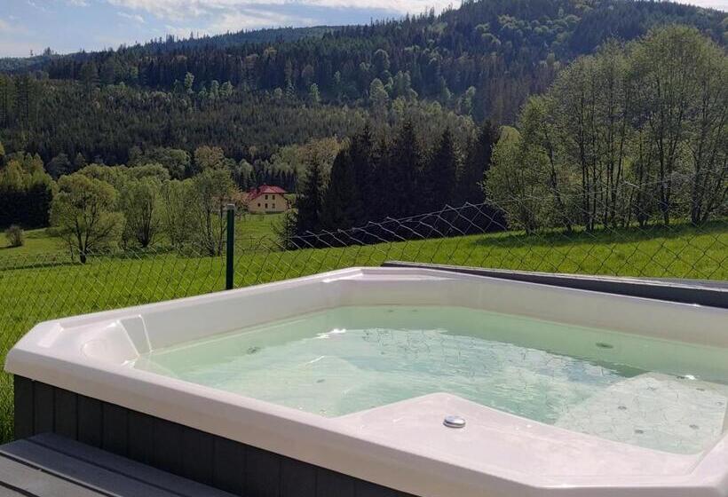 Дом 4 Спальни, Villove Domy Spa