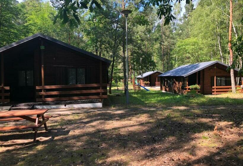 Бунгало Стандарт, Leśnik Bungalow Stegna   Domki Letniskowe Nad Morzem