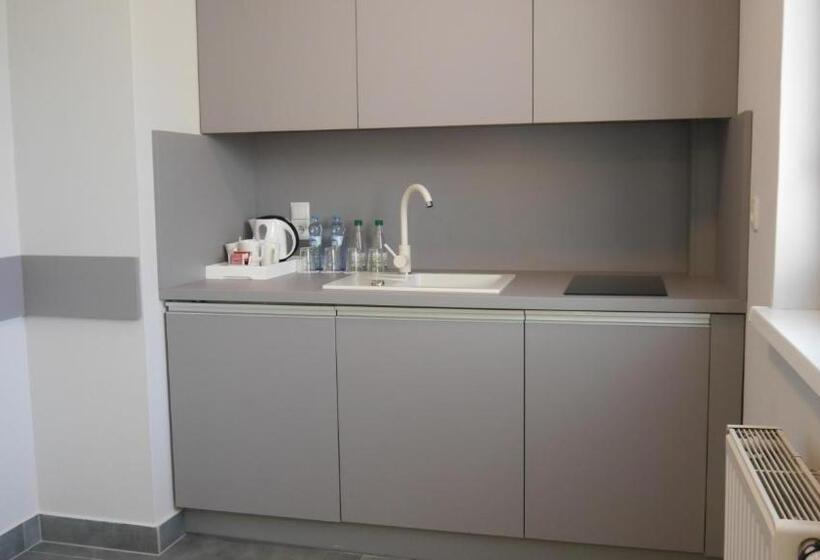 Апартаменты 1 Спальня, Apartamenty Ciechocinek Spa