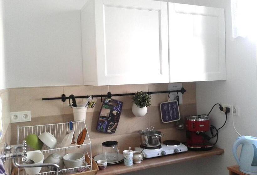 Апартаменты Superior 1 Спальня, Master Corner Apartment