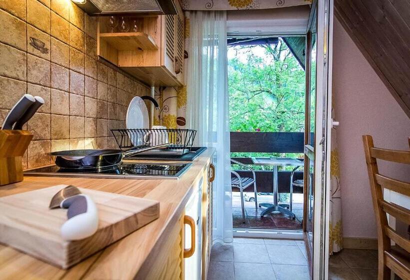 バルコニー付き１ベッドルームアパートメント, Aparthotel Pod Nosalem