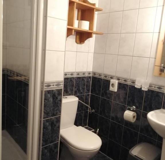 スタンダードルーム, Aparthotel Pod Nosalem