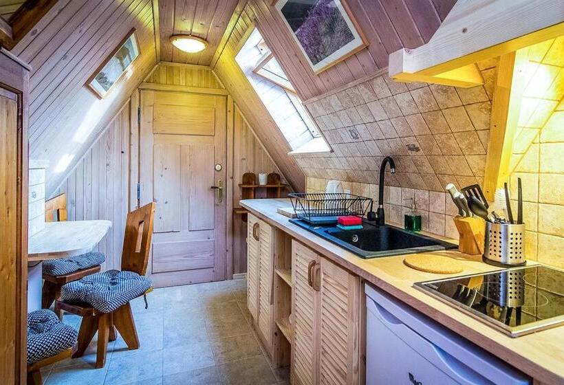 １ベッドルームアパートメント, Aparthotel Pod Nosalem