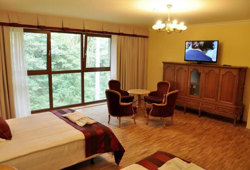 Номер Deluxe, Mir Jan Spa