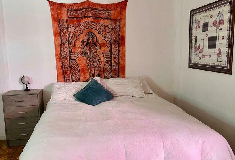 Superior Trippelrum, Free Spirit Hostel Guadalajara