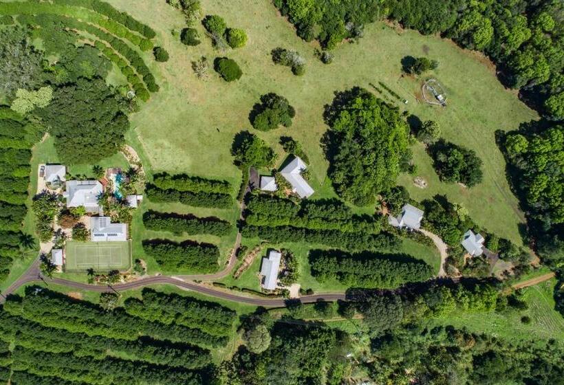 Вилла 2 Спальни, Byron Hinterland Villas