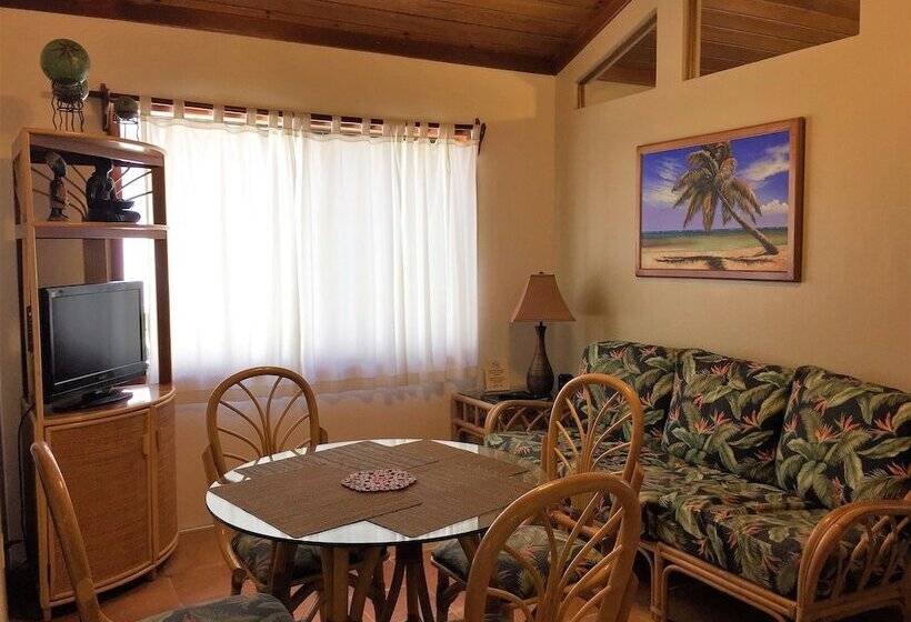 ویلای 2 خوابه, Tradewinds Paradise Villas