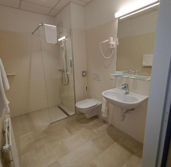 Номер Стандарт, Gesundheits  & Wellnessresort Salzerbad