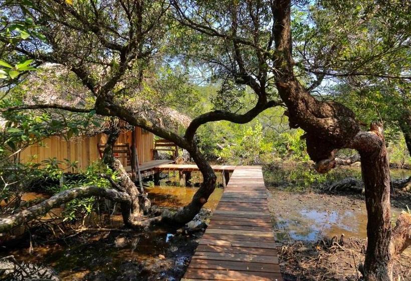 اتاق استاندارد, Lily S Riverhouse