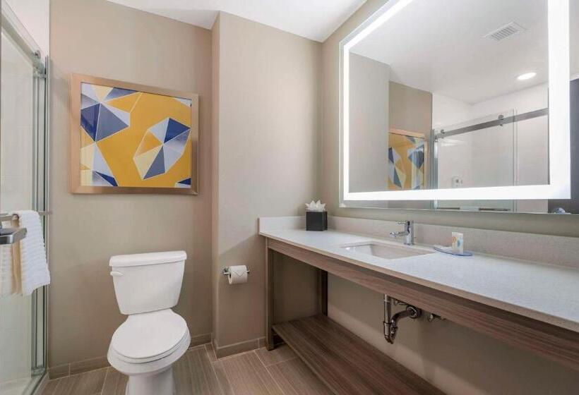 اتاق استاندارد با تخت بزرگ, Pestana Orlando Suites   Lake Buena Vista