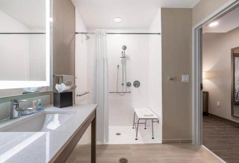 سوئیت با تخت بزرگ, Pestana Orlando Suites   Lake Buena Vista