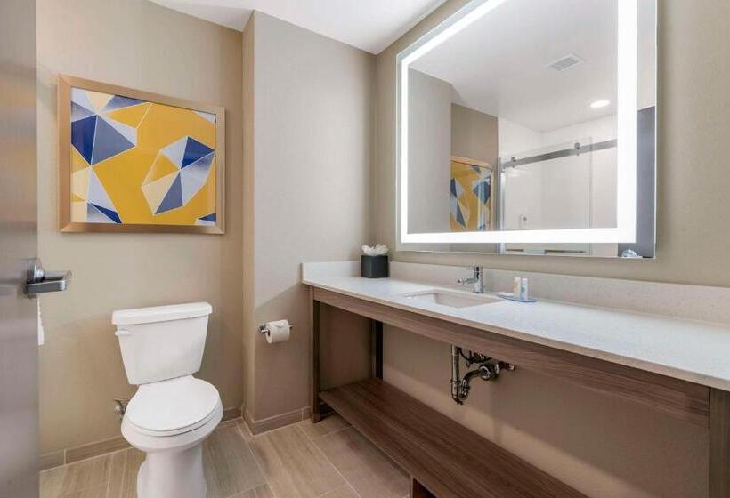 سوئیت با تخت بزرگ, Pestana Orlando Suites   Lake Buena Vista