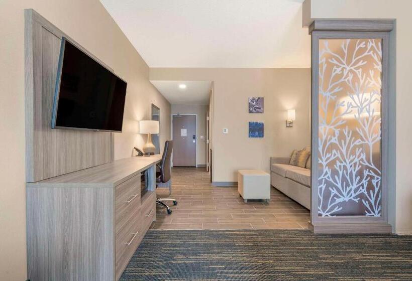 اتاق استاندارد سه نفره, Pestana Orlando Suites   Lake Buena Vista