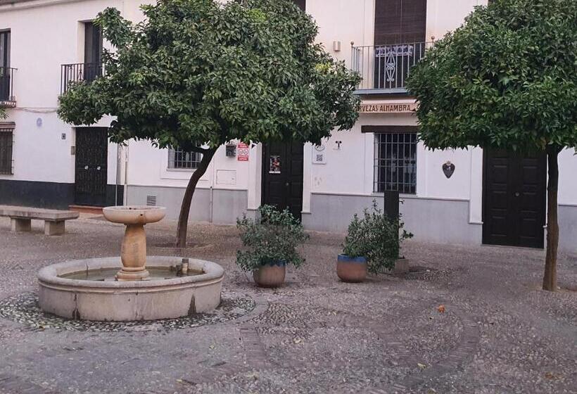 آپارتمان لوکس 1 خوابه, Casa Morena Mia Apartamentos