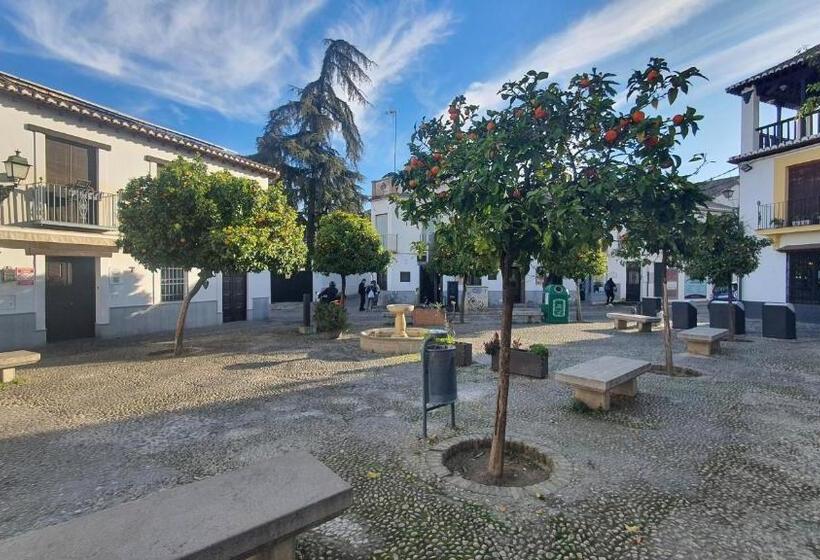 آپارتمان 1 خوابه با بالکن, Casa Morena Mia Apartamentos