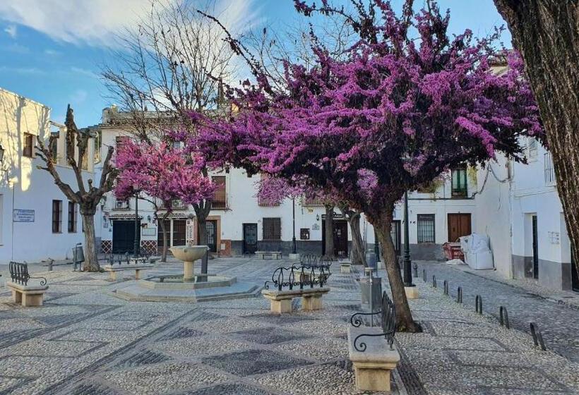 آپارتمان 1 خوابه همکف, Casa Morena Mia Apartamentos