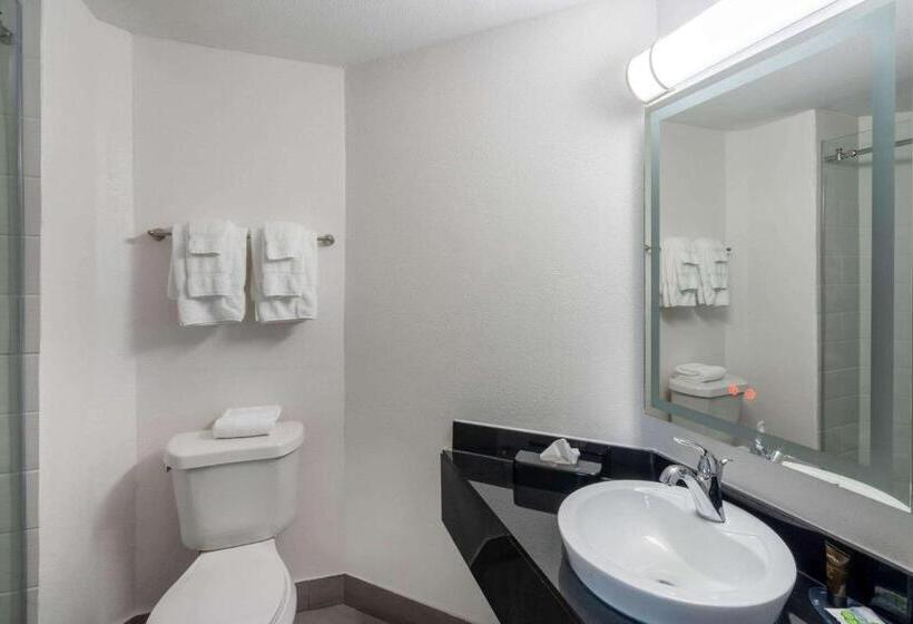 Люкс Кровать Кинг, Wingate By Wyndham Horn Lake Southaven