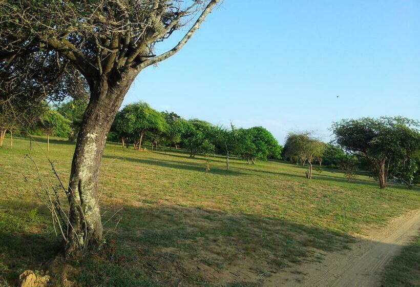 家庭洋房, Leopard Corridor Yala