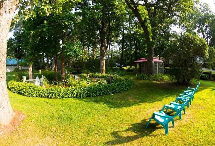 디럭스 스위트, Oak Park Inn