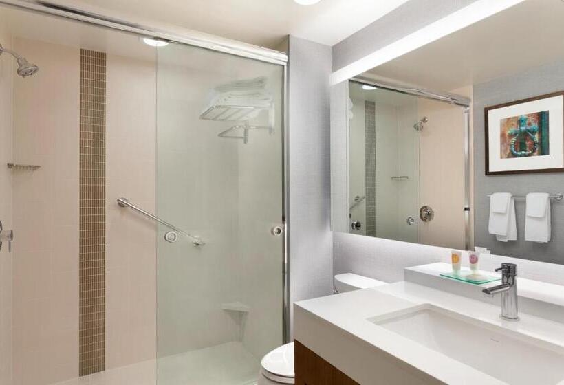 Стандартный Номер Кровать Кинг, Hyatt Place Buffalo / Amherst, Ny