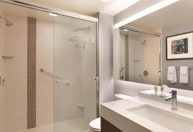 Стандартный Номер Кровать Кинг, Hyatt Place Buffalo / Amherst, Ny