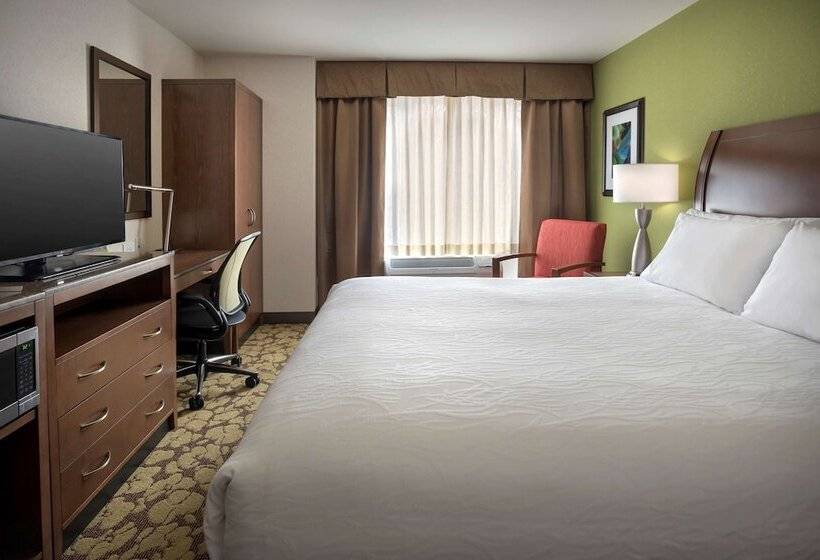 Camera Standard Letto King Accessibile ai persone con mobilità ridotta, Hilton Garden Inn Chicago Downtown Riverwalk