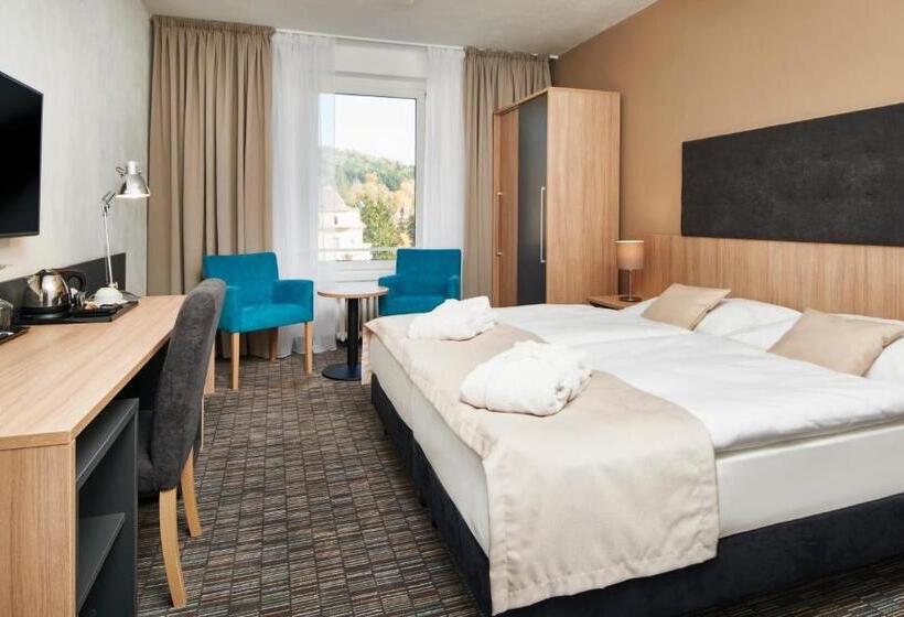 デラックスルーム, Spa Hotel Devin