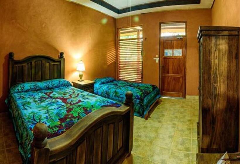 Номер Стандарт, Luna Lodge