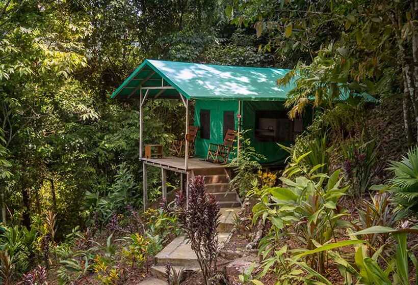 Standard Tent, Luna Lodge
