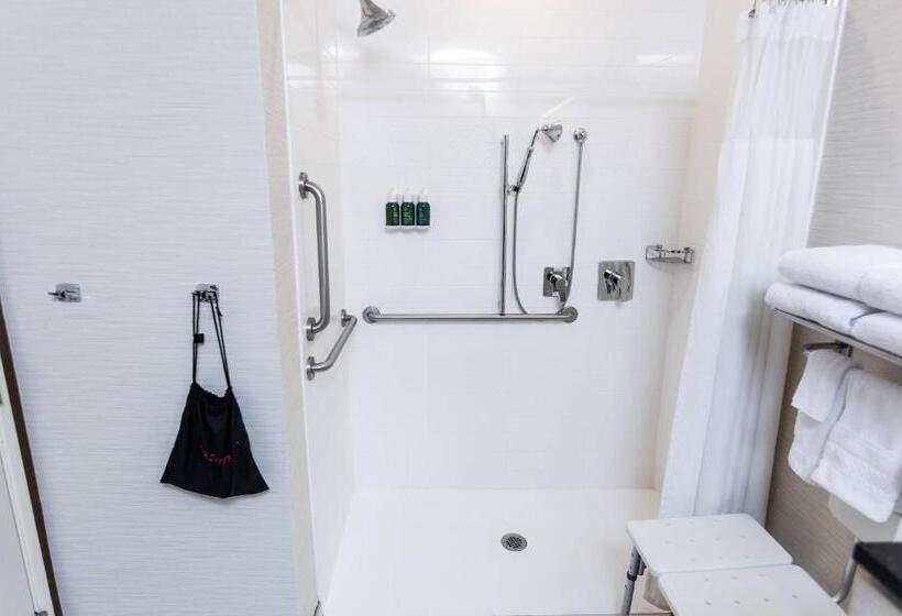 带大床的标准间, Fairfield Inn & Suites By Marriott Bowling Green