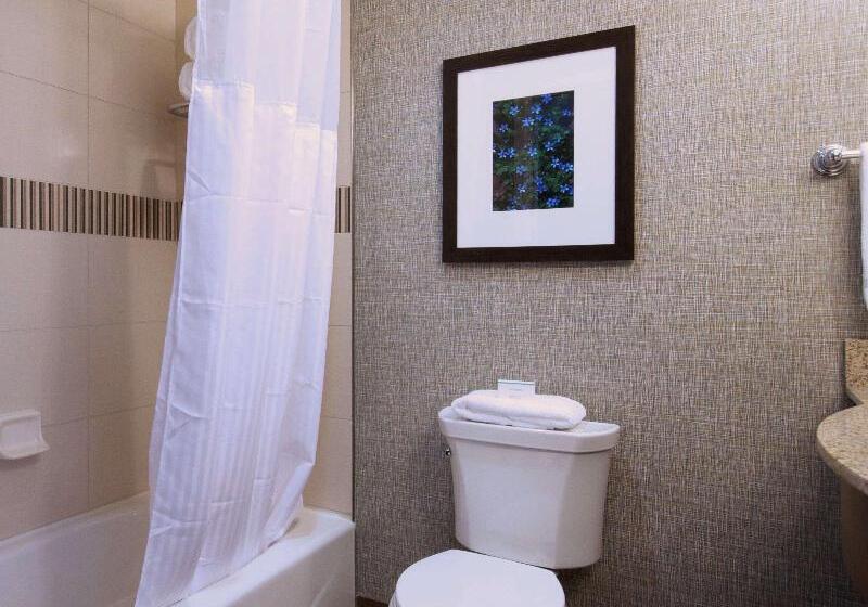 带大床的套房, Hilton Garden Inn Hickory