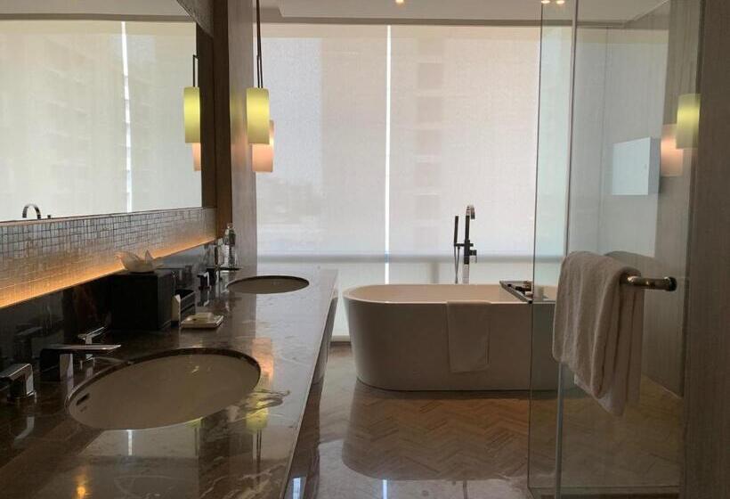 スイート, Hyatt Regency Ahmedabad