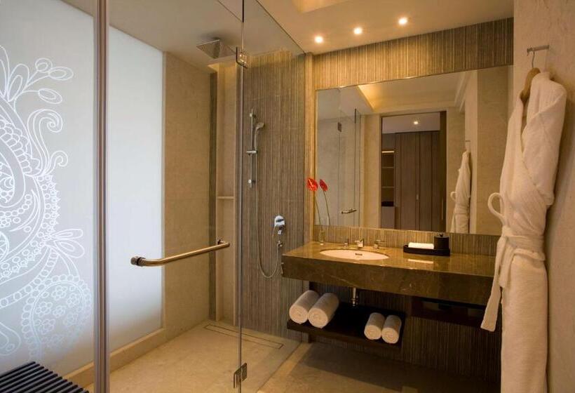 标准间, Hyatt Regency Ahmedabad