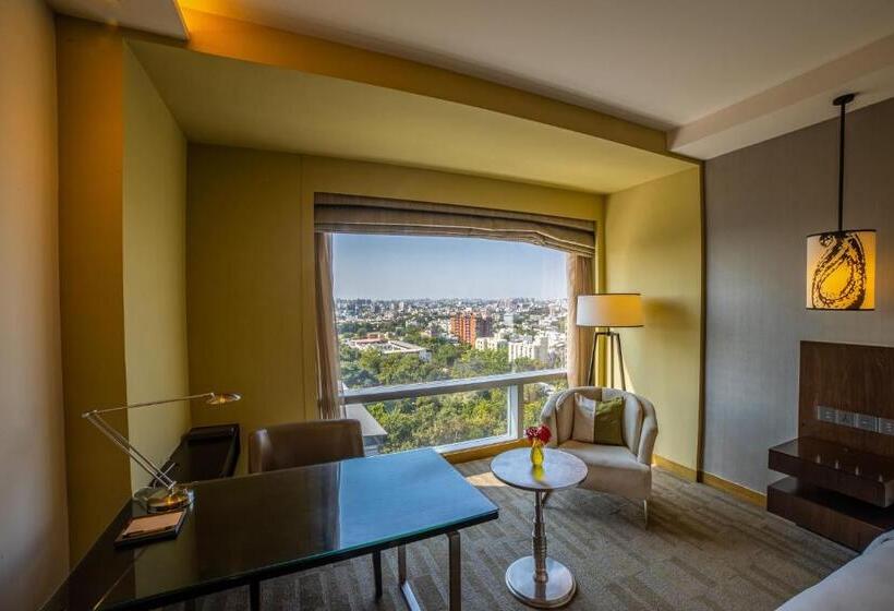 带大床的标准间, Hyatt Regency Ahmedabad