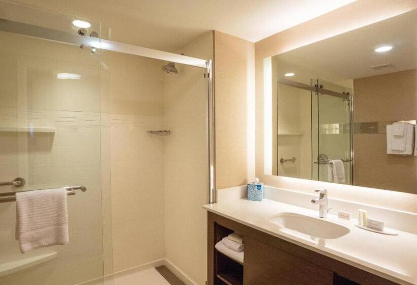 带大床的套房, Residence Inn By Marriott Seattle University District