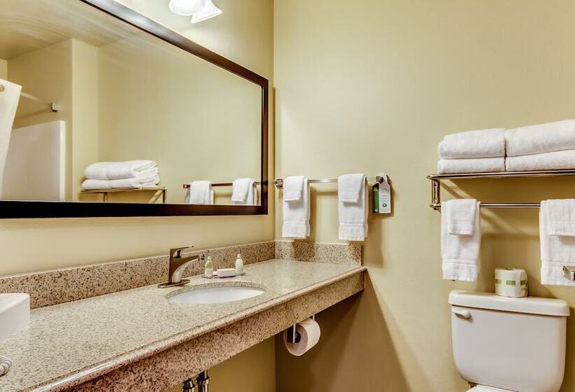 Люкс, Cobblestone Inn & Suites   Waverly