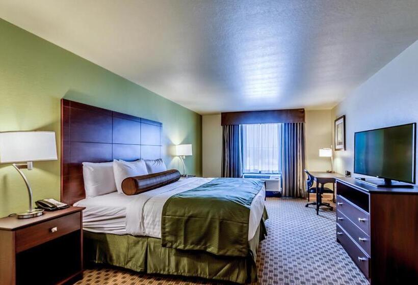 Номер Deluxe Кровать Кинг, Cobblestone Inn & Suites   Waverly