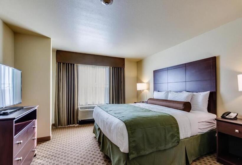 Люкс, Cobblestone Inn & Suites   Waverly