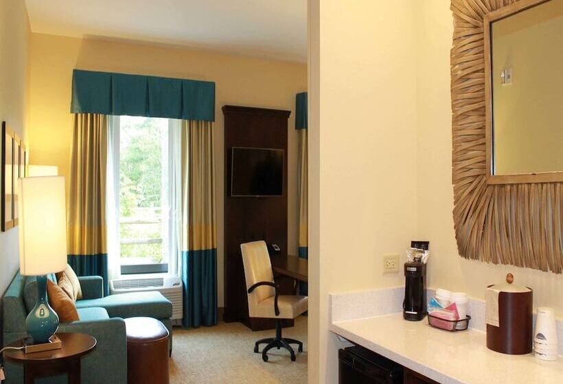 스탠다드 스튜디오 킹침대, Hampton Inn & Suites Stroudsburg Pocono Mountains