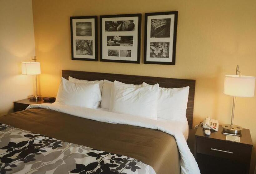 Стандартный Номер Кровать Кинг, Sleep Inn & Suites Carlsbad Caverns Area