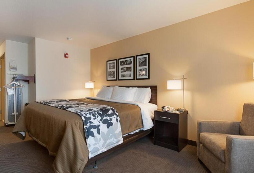 带大床的标准间, Sleep Inn & Suites Carlsbad Caverns Area