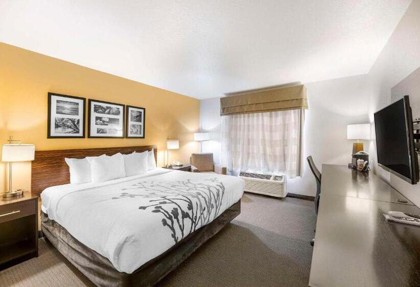 带大床的标准间, Sleep Inn & Suites Carlsbad Caverns Area