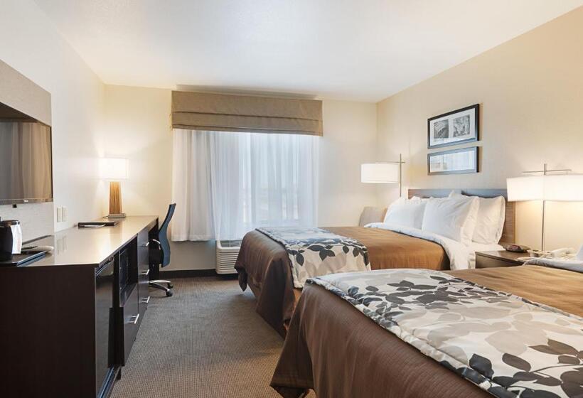带2个双人床的标准工作室, Sleep Inn & Suites Carlsbad Caverns Area