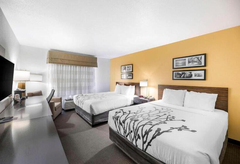 带2个双人床的标准工作室, Sleep Inn & Suites Carlsbad Caverns Area