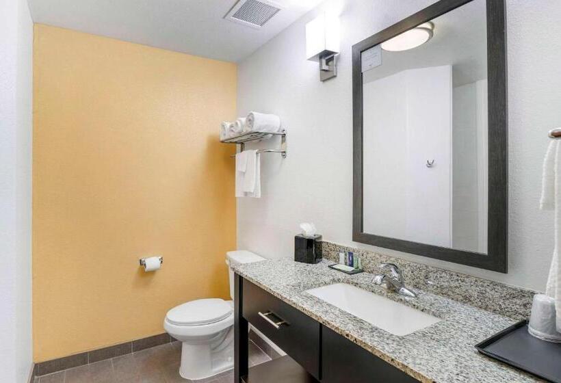 Люкс Кровать Кинг, Sleep Inn & Suites Carlsbad Caverns Area