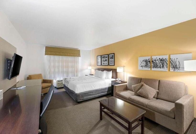 מיטת קינג בסוויטה, Sleep Inn & Suites Carlsbad Caverns Area