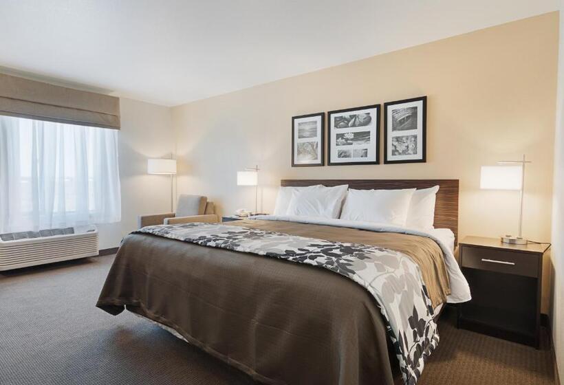 标准间, Sleep Inn & Suites Carlsbad Caverns Area