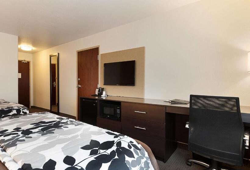 标准间, Sleep Inn & Suites Carlsbad Caverns Area