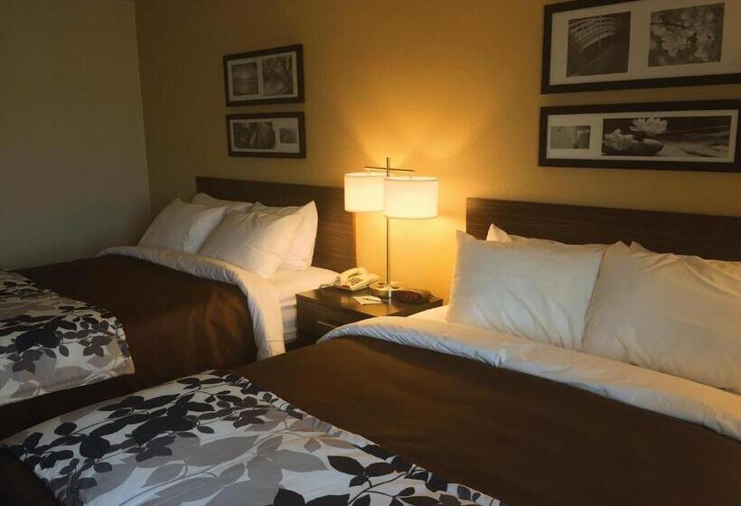 Номер Стандарт Адаптированный для Инвалидов, Sleep Inn & Suites Carlsbad Caverns Area